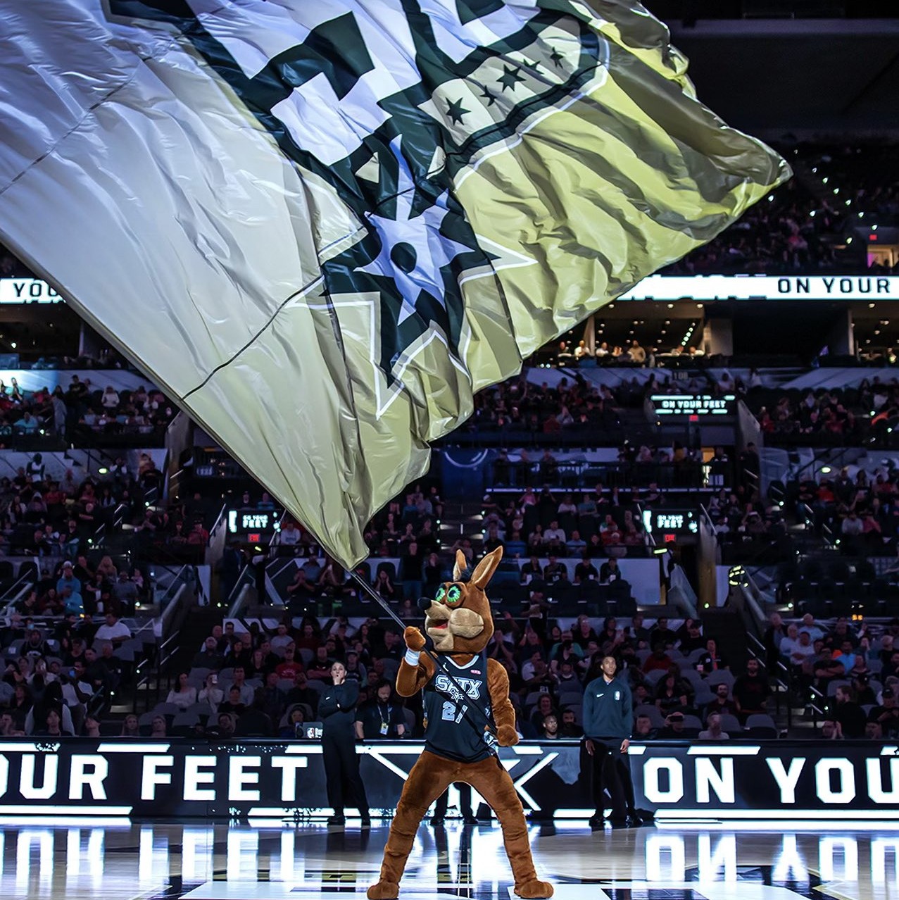 准的射门 准的射门